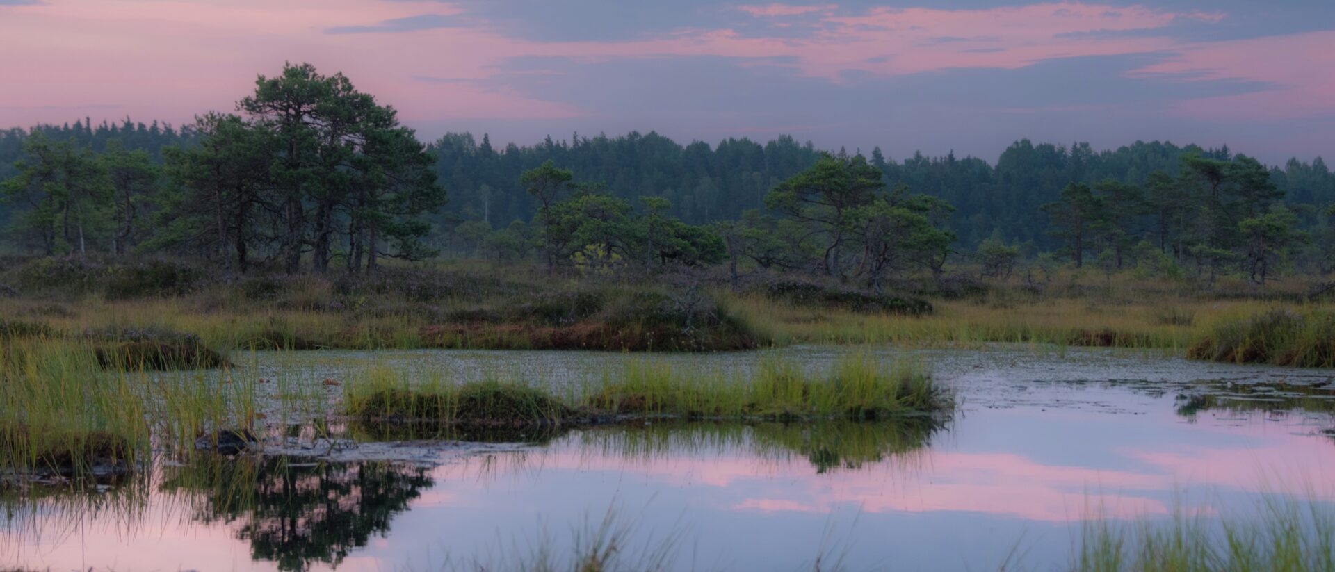 Call for applications IUBS-INQUA conference