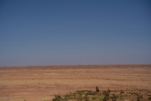 Paleopedology newsletter Issue 36