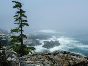 International Summer School 2026 – Climate change in coastal areas: hot topics, future projections, impacts