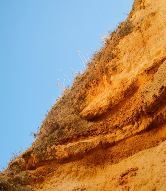 Stratigraphy & Chronology (SACCOM)